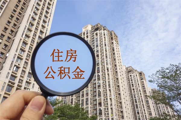 齐河辞职了补充公积金能取不（辞职后补充公积金如何提取）